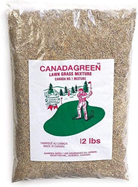Does Grass Seed Go Bad Canada Green Grass Lawn Seed Does Grass Seed Go Bad Canada Green Grass Lawn Seed