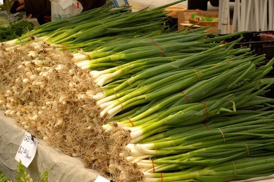 Easy Vegetables To Grow Indoors Scallion