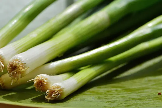 Frost Tolerant Vegetable Plants Leeks Frost Tolerant Vegetable Plants Leeks