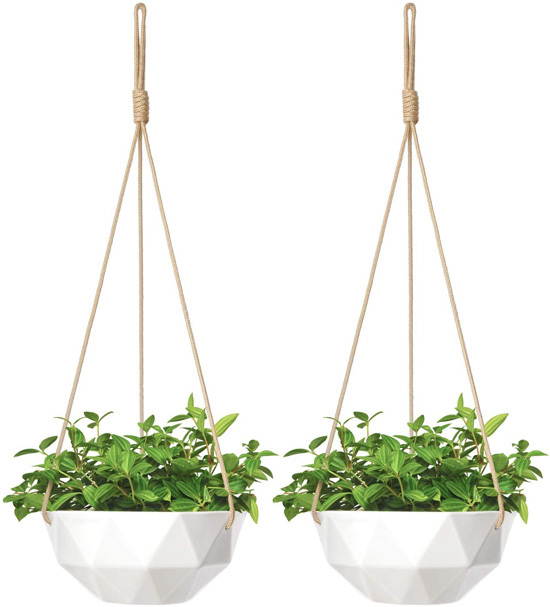 How Fast Does Ivy Grow Mkono 9 Inch Ceramic Hanging Planter