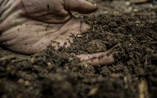 What Is Soil - What Is The Difference Between Soil And Dirt