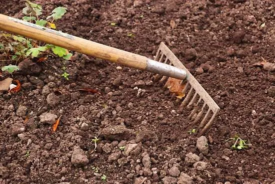 What Is The Difference Between Soil And Dirt What Is The Difference Between Soil And Dirt
