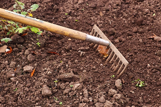 What Is The Difference Between Soil And Dirt What Is The Difference Between Soil And Dirt