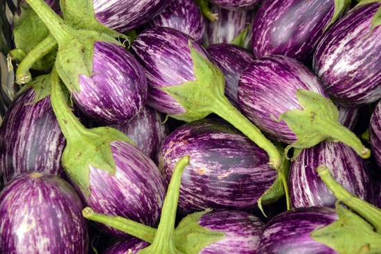 Eggplant Ornamental Vegetable Plants