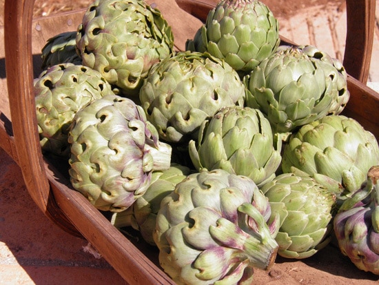 Globe Artichokes Ornamental Vegetable Plants 2