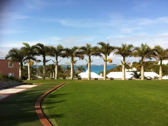 How to Make Bermuda Grass Thicker 1 How to Make Bermuda Grass Thicker 1