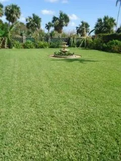 How to Make Bermuda Grass Thicker 2