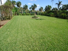 How to Make Bermuda Grass Thicker 2 How to Make Bermuda Grass Thicker 2