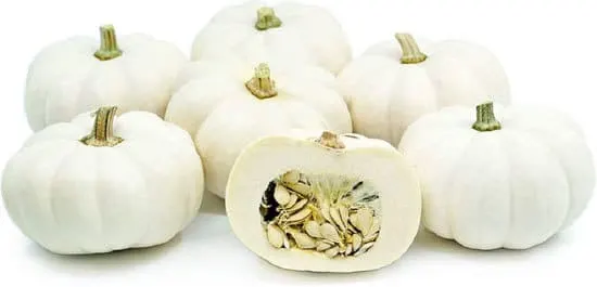 Casperita Small Pumpkin Varieties You Can Easily Grow