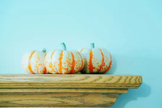 Mini Tiger Striped Pumpkin Small Pumpkin Varieties You Can Easily Grow