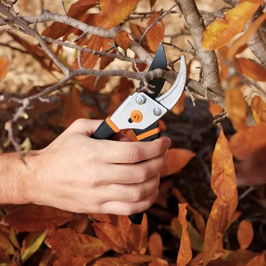 How To Remove Shrubs Fiskars 91095935J Steel Pruning Shears Bypass Pruner