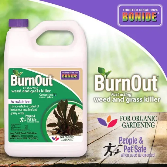 Bonide BND7465 Burnout Concentrate - What Kills Clover But Not Grass
