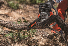 Remington RM4618 Outlaw Gas Powered Professional Chainsaw Best Professional Chainsaw 2 Remington RM4618 Outlaw Gas Powered Professional Chainsaw Best Professional Chainsaw 2