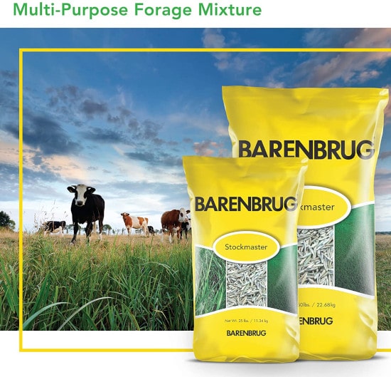 Barenbrug Stockmaster Grass Seed Premium Multi Purpose for Sandy Soil Best Grass Seed for Sandy Soil 2