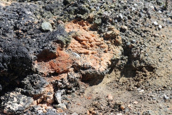 How To Remove Rocks From Soil How To Remove Rocks From Soil