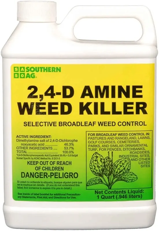 Apply 24 D Amine - How To Get Rid Of Onion Grass 