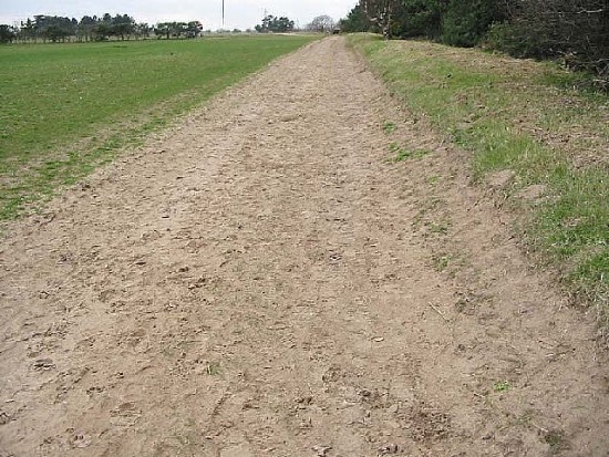 How To Grow Grass In Sandy Soil How To Grow Grass In Sandy Soil
