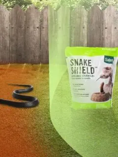 Safer Brand 5951 4 LB Snake Shield Repellent Best Snake Repellent 1