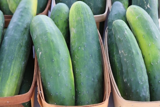 Cucumber Best Green Fruit Plants