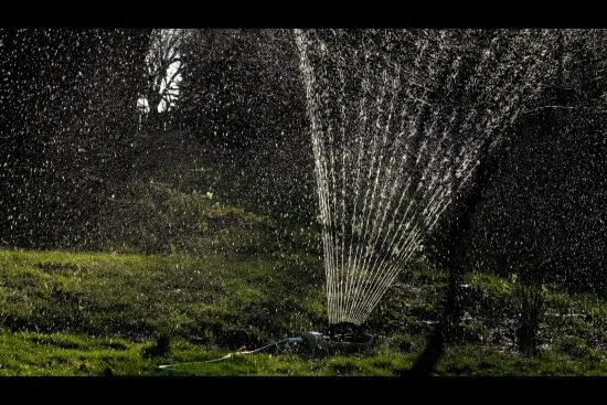 How Often To Water New Grass Seed