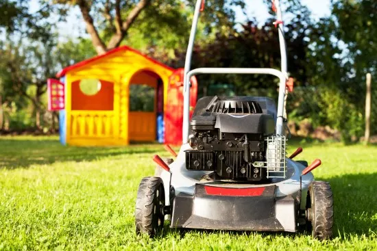 when to mow new sod with riding mower