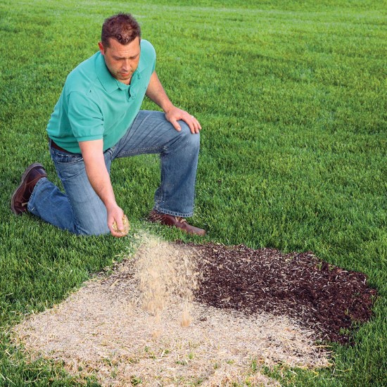 EZ Straw 2.5 CU FT Bale Seeding Mulch Biodegradable For Garden Best Mulch for Garden 2