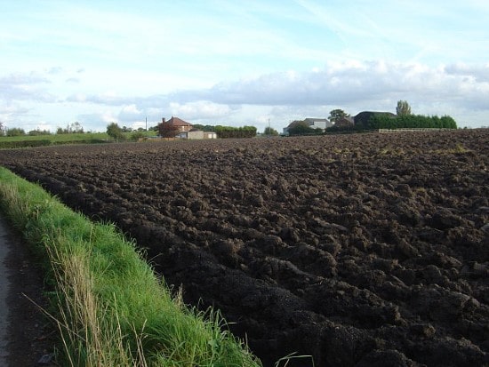 Fine loam rich field ideal for farming vegetables in the UK How Much Loam Do I Need