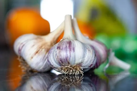 Hardneck garlic What Animals That Eat Garlic