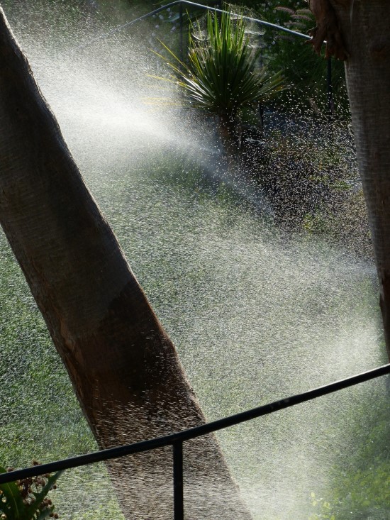 High pressure water How To Get Rid Of Spider Mites During Flowering