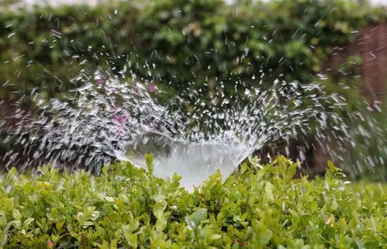How To Install A Sprinkler System 2