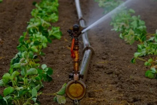 How To Install A Sprinkler System 3