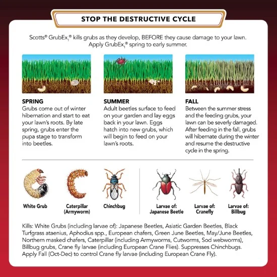 Scotts GrubEx1 Grub Killer for Lawns Scotts Grubex Vs Bayer Grub Control 2