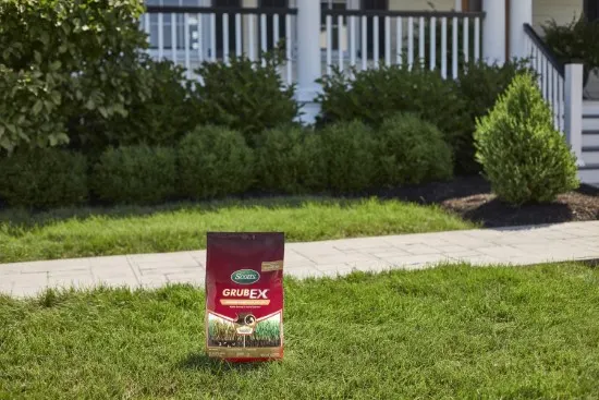 Scotts GrubEx1 Grub Killer for Lawns Scotts Grubex Vs Bayer Grub Control