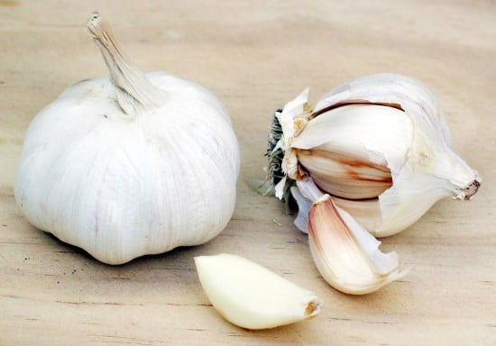 What Animals That Eat Garlic