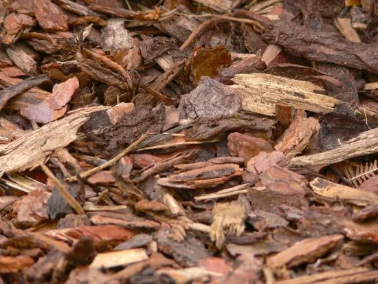 What Is Bark Mulch