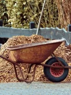 What Is Mulch Used For