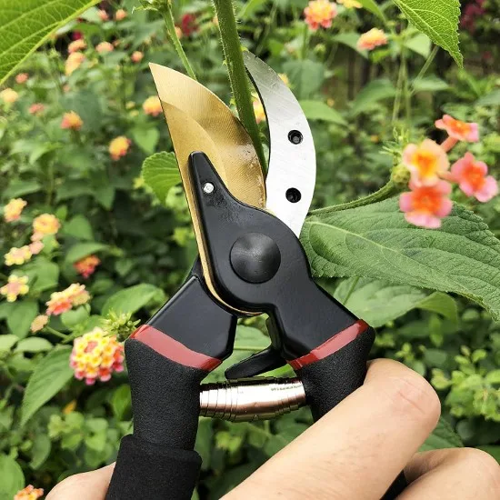 gonicc 8 Professional Premium Titanium Bypass Pruning Shears When To Prune Spirea Goldflame
