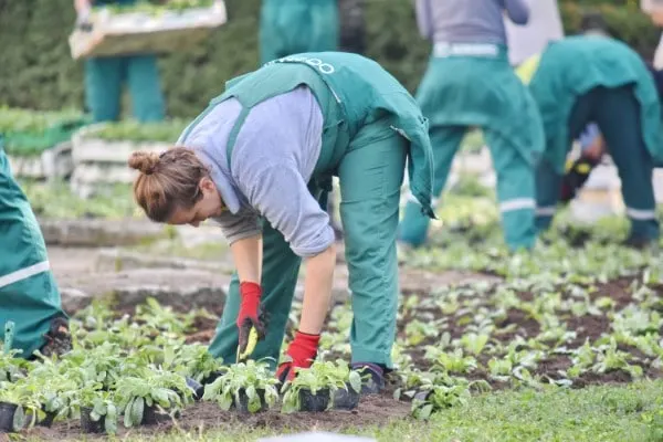 How Software Can Help You to Become a Better Gardener