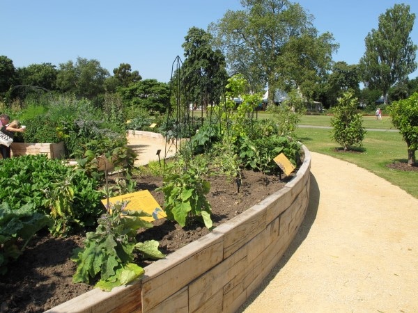 Raised Beds Cheap Landscaping Ideas