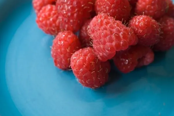 Raspberry Cascade Why Are Raspberries Hairy