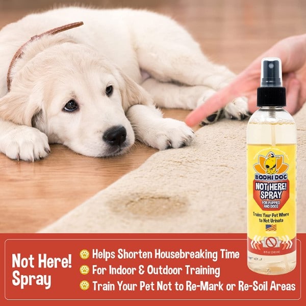 Bodhi Dog Not Here Spray How To Stop Your Dog From Eating Mulch