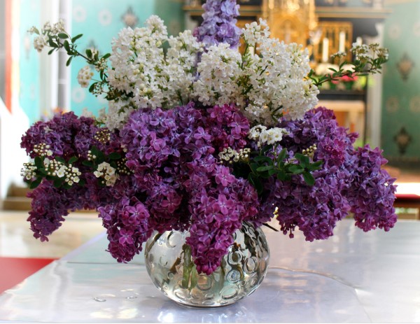 Lilac bouquet Wisteria Vs Lilac