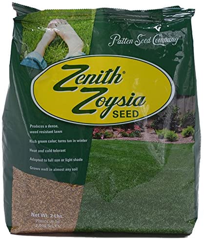 Patten Seed Company Zenith Zoysia 100 Pure Grass Best Grass For Houston