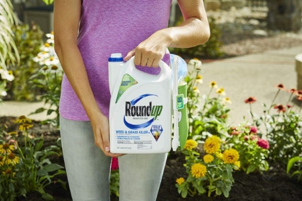 Roundup Ortho Ground Clear vs Roundup 3