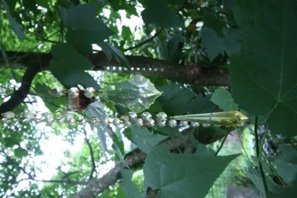 Whimsical crystals hanging from tree in Bloomtown garden in Portland What Crystals Are Good for Plants