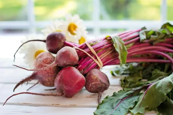 Beet Vegetables That Start With B