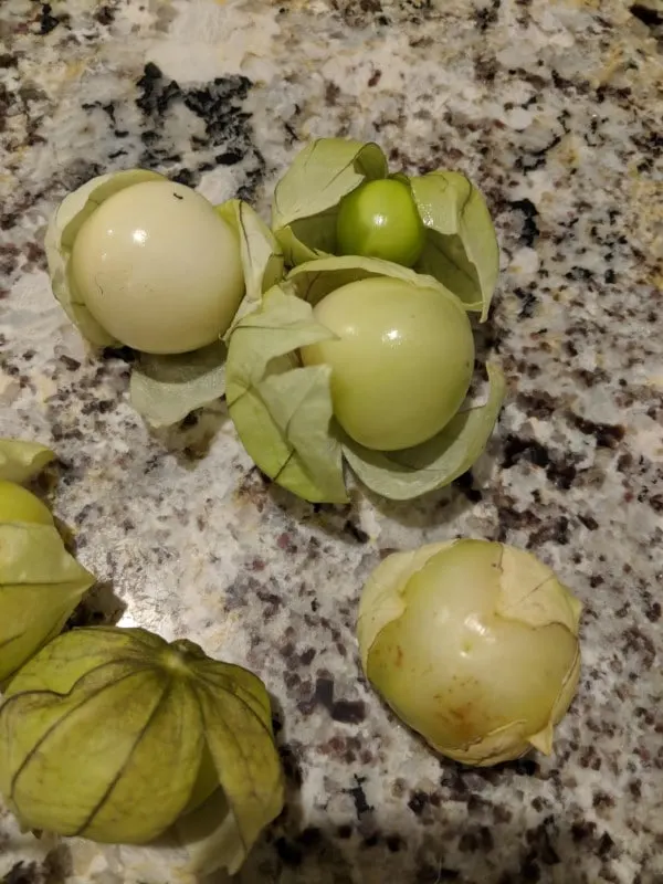 How To Husk A Tomatillo