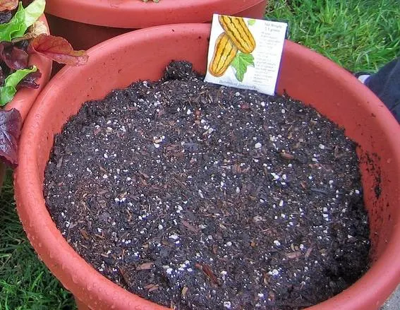 How To Store Potting Soil