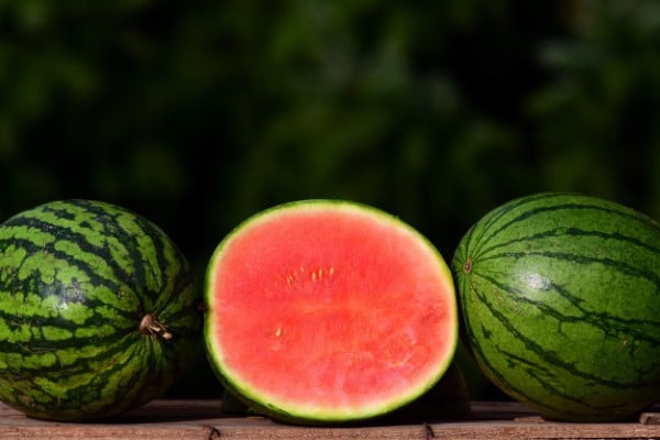 Seedless Watermelon How Much Does A Watermelon Weigh