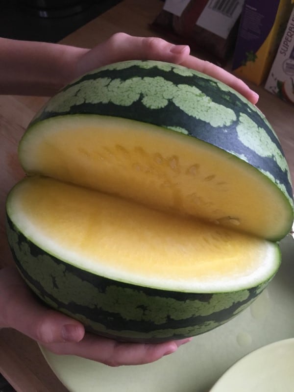 yellow flesh Watermelon How Much Does A Watermelon Weigh
